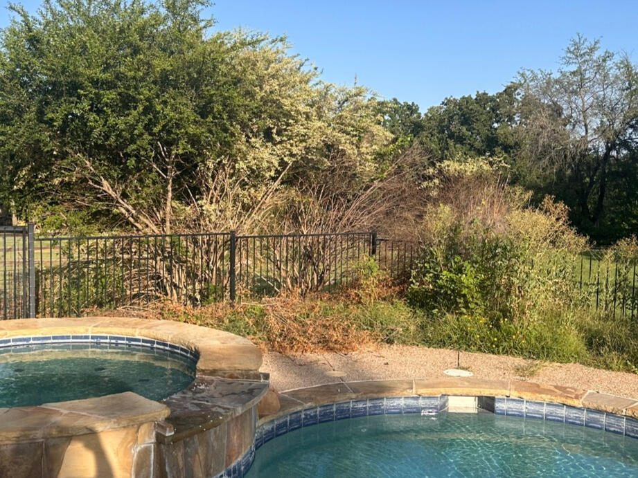 Poolside brush removal in progress