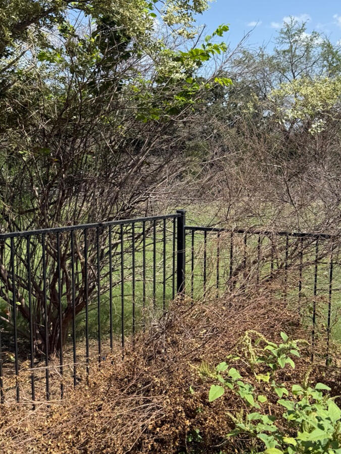 Cut vegetation staged during property cleanup